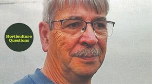 Robin Squance
